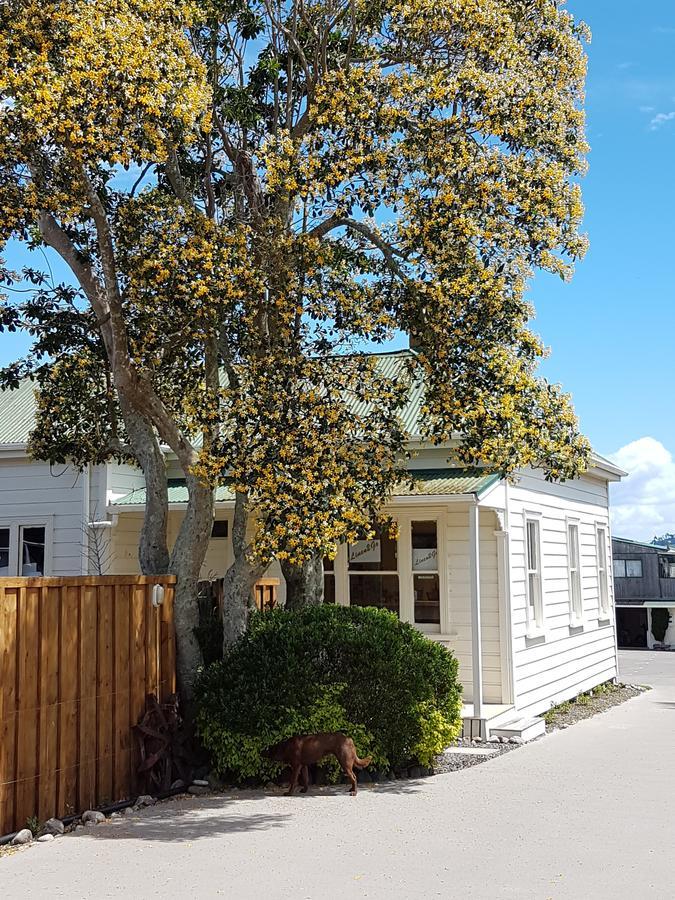 Abbey Court Motel Coromandel Esterno foto